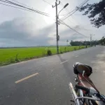 Hàng hiếm, view lúa mặt tiền Lê Thánh Tông, đất nở hậu, vị trí đẹp trong khu vực - Ảnh thu nhỏ 8