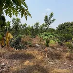 Bán đất mặt tiền Nguyễn Lương Bằng 1000 m², Tây Ninh - Ảnh thu nhỏ 4