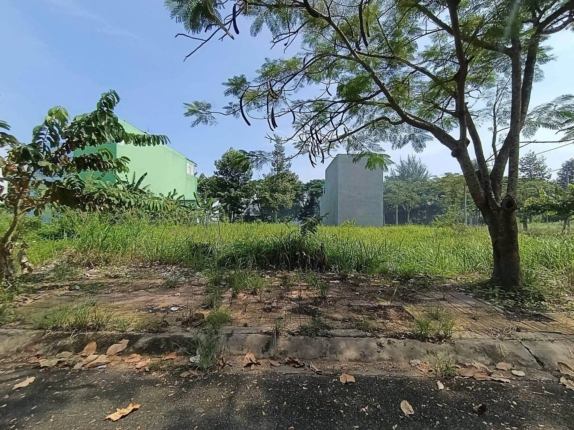Bán 2 lô đất liền kề 4x20m đối diện công viên KDC Lợi Bình Nhơn, đường số 17, giá 1,1 tỷ/lô - Ảnh 1