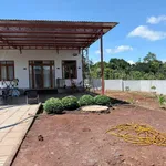 Bán nhà vườn hẻm 520m² đường 19/5 giá 2.2 tỷ - Ảnh thu nhỏ 5