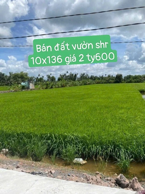 Bán đất vườn Thị Trấn Đức Hoà 1360m², giá 2.599 tỷ