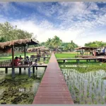 Cần bán mô hình cà phê hiện đại diện tích 1.250m2 đất CLN - chuyển TMDV tại Vịnh Vĩnh Hy, Khánh Hòa - Ảnh thu nhỏ 19