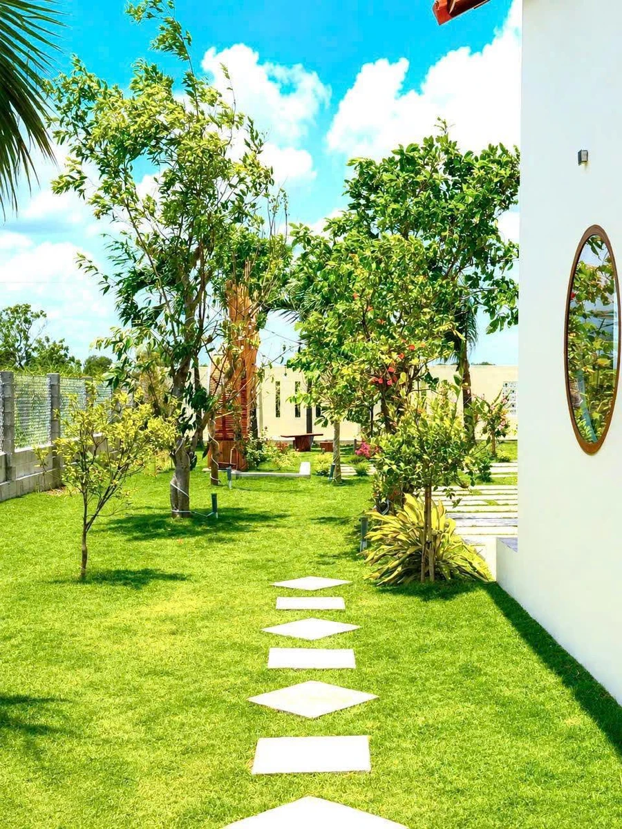 Bán nhà vườn 1.600m² Phan Thiết 1 tỷ 850 triệu - Ảnh thu nhỏ 2