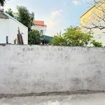 Bán lô đất 48m² mặt tiền 4m tại Lý Tử Cấu, Hải Phòng - Ảnh thu nhỏ 4
