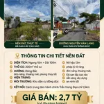Bán nền đất 1300m² đường Nguyễn Văn Làng, Bình Dương - Ảnh thu nhỏ 1