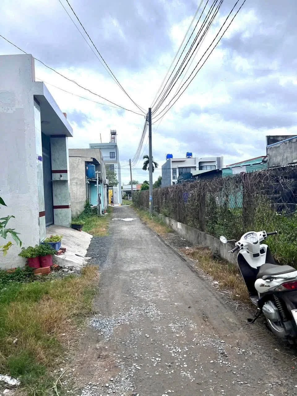 Bán nền đất thổ cư 100m2 Tây Ninh - Ảnh 1