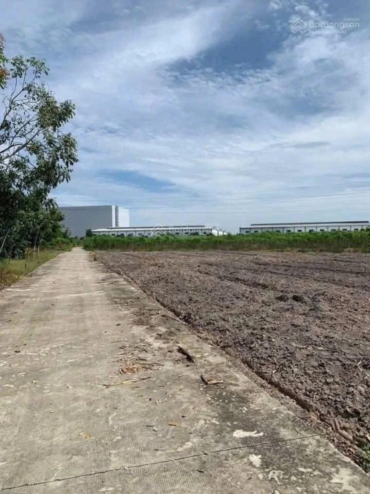 Ra gấp nền đất giá hời Đồng Phú, ngay đường cao tốc Chơn Thành - Gia Nghĩa, 1082m2 giá 356tr - Ảnh thu nhỏ 3