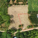 Bán đất vườn 561m2 view núi Đà Bắc Hòa Bình 7xx triệu - Ảnh thu nhỏ 1