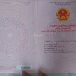 Bán loại BĐS khác tại Phường Xuân Phú, Sông Cầu, Phú Yên, giá siêu hời 1,28 tỷ, 30000 m2 - Ảnh thu nhỏ 11