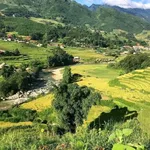 Bán nhà sàn 2 tầng homestay 1000m² Sa Pa - Ảnh thu nhỏ 2