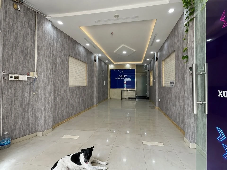 Cho thuê mặt bằng mặt tiền Cộng Hoà 44m², 12 triệu/tháng - Ảnh thu nhỏ 3