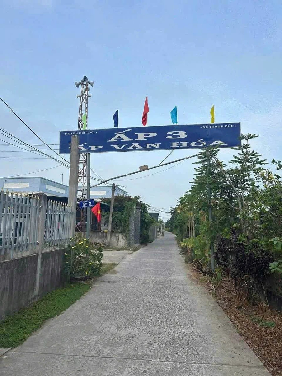 Bán đất 1000m² Ấp 3 Thạnh Đức Nhà Bè, được lên thổ cư - Ảnh thu nhỏ 5