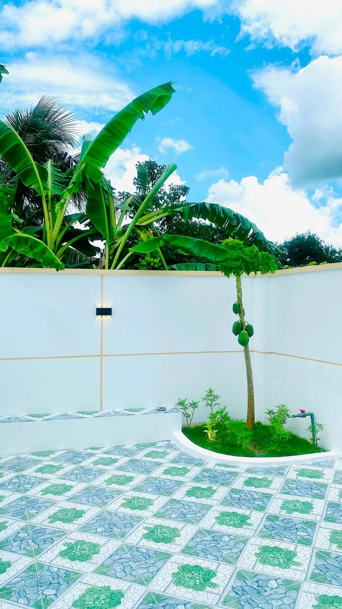 Bán nhà cấp 4 Tây Ninh 114m², 3PN, 1 tỷ 260 - Ảnh thu nhỏ 3