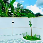 Bán nhà cấp 4 Tây Ninh 114m², 3PN, 1 tỷ 260 - Ảnh thu nhỏ 3