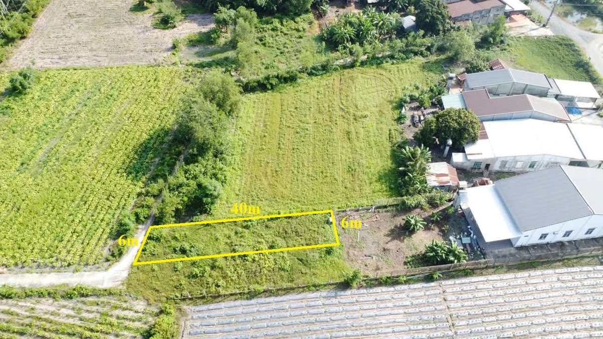 Bán đất 240m² 6x40m sổ hồng riêng Truông Mít Tây Ninh 330 triệu - Ảnh thu nhỏ 4
