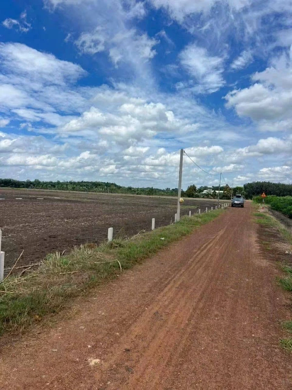 Bán lô đất thổ cư 150m2 đường đỏ Tây Ninh 195 triệu