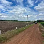 Bán lô đất thổ cư 150m2 đường đỏ Tây Ninh 195 triệu - Ảnh thu nhỏ 1