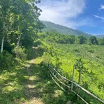 Bán đất nông nghiệp 1,8 ha Kim Bôi Hòa Bình giá 200 triệu - Ảnh thu nhỏ 1