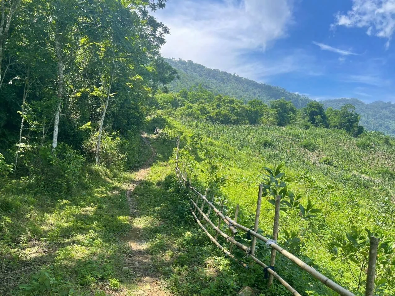 Bán đất nông nghiệp 1,8 ha Kim Bôi Hòa Bình giá 200 triệu - Ảnh 1