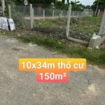 Bán đất mặt tiền Tây Ninh 699 triệu, ngang 10m - Ảnh thu nhỏ 3