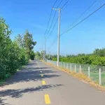 Bán đất mặt tiền Phạm Hùng 1441m2 ngang 20m gần KCN Đất Đỏ, Bà Rịa - Vũng Tàu - Ảnh thu nhỏ 3