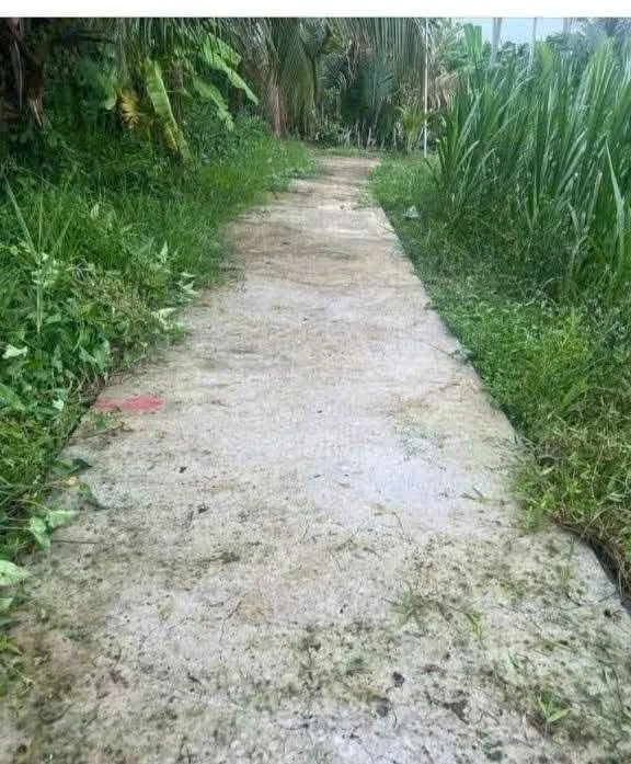 Đất nền bán 175 triệu tại Xã Thới Lai, Bình Đại, Bến Tre, 156m²