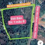 Bán vườn sầu riêng Thái 18000m2 Lâm Đồng - Ảnh thu nhỏ 3