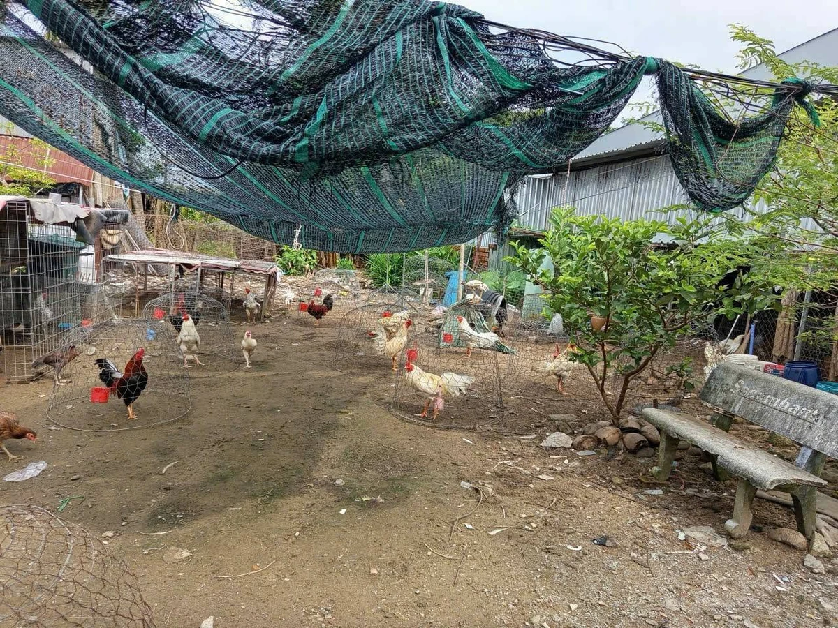 Bán đất nền hẻm Trần Phú, Rạch Giá, An Giang, 233.6m2, 1,6 tỷ - Ảnh thu nhỏ 2