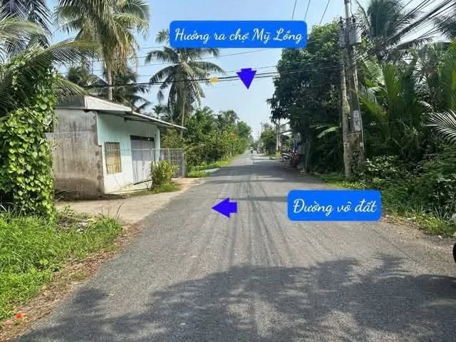Bán đất công Ấp Hoà Bình Giồng Trôm Bến Tre 2.077m² - Ảnh thu nhỏ 4