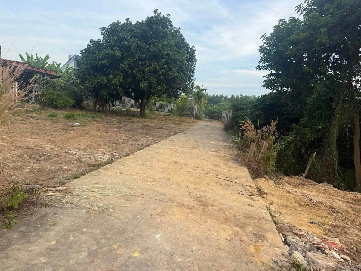 Bán đất 133m² mặt tiền 5.8m sát UBND Xã Nghĩa Thành 600 triệu - Ảnh thu nhỏ 2