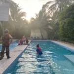 Papa Farm Riverside khu vườn của Ba Hạnh Phúc cho cả nhà đất vườn MT Sông Thành Triệu 1,2 ha - Ảnh thu nhỏ 9