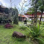 Bán nhà sân vườn nghỉ dưỡng 250m² đường Yết Kiêu, Phường Cam Ly, Đà Lạt - Ảnh thu nhỏ 5