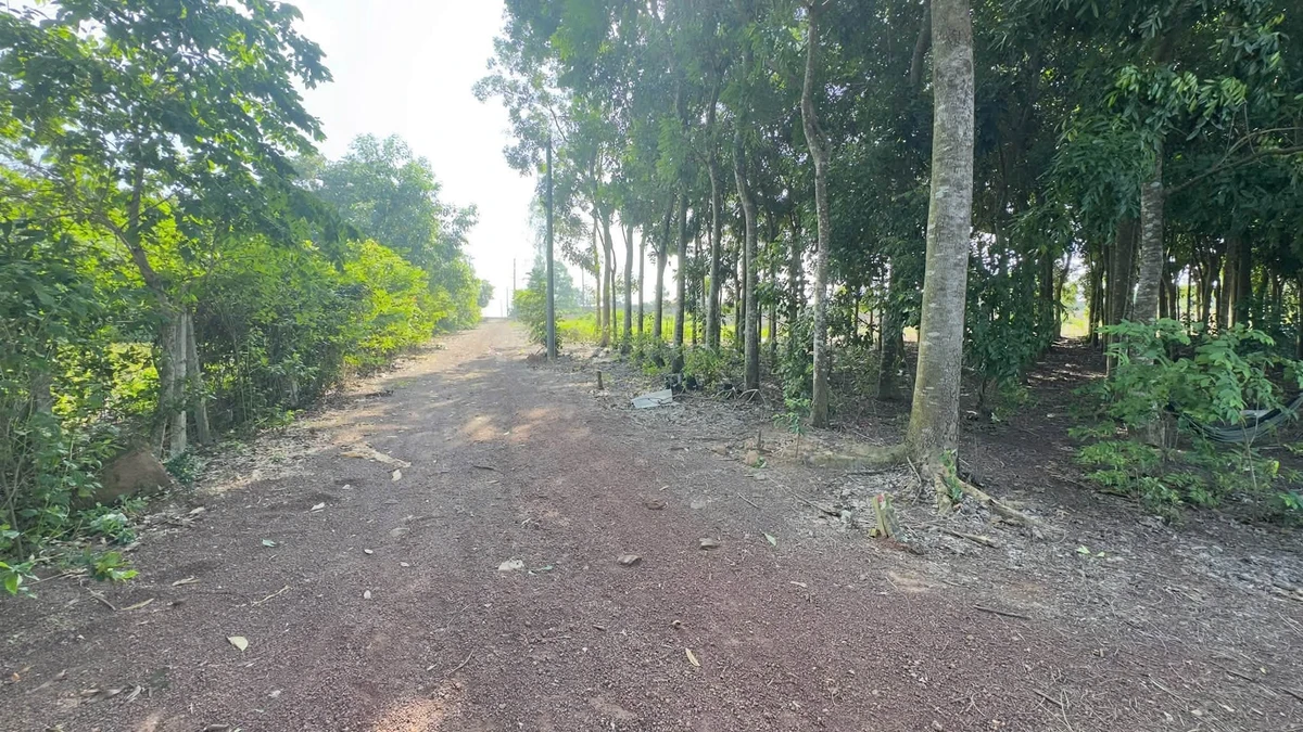 Bán lô đất 500m² gần hồ Trị An, Đồng Nai, 450 triệu - Ảnh thu nhỏ 4