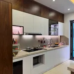 Bán nhà 4 tầng 95m2 tại Ecopark Hải Dương, 10 tỷ - Ảnh thu nhỏ 2