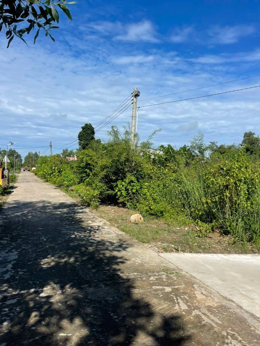 Bán đất nền Phú Hòa Định Quán 130m² giá 350 triệu - Ảnh thu nhỏ 3