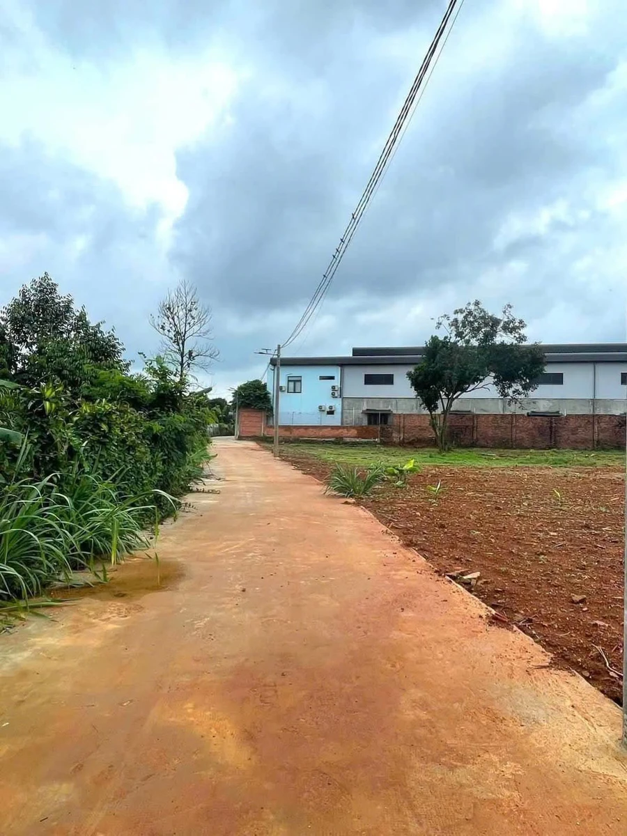 Bán đất thổ cư 120m² giá 490 triệu Hóc Môn - Ảnh 1