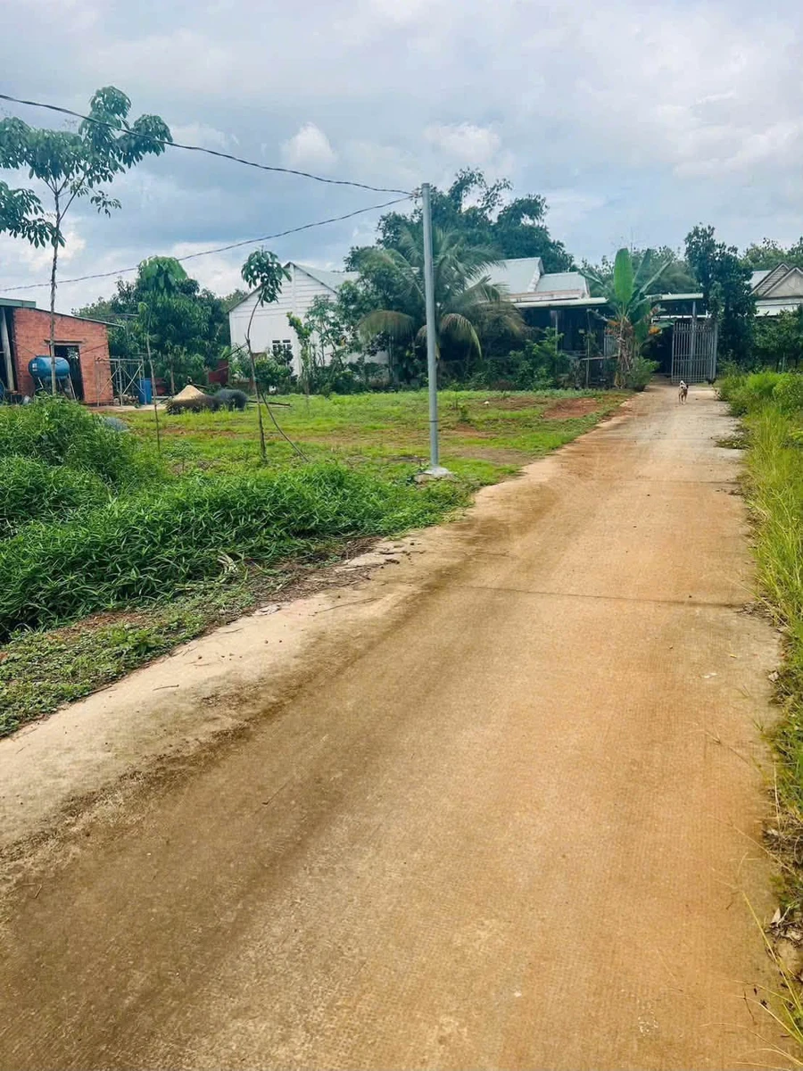 Bán đất Tân Phước 100m² thổ cư 290 triệu - Ảnh thu nhỏ 4
