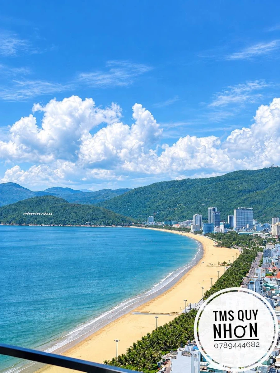 Bán căn hộ studio TMS Quy Nhơn 47m2 tầng 27 view biển, giá 1,6 tỷ - Ảnh thu nhỏ 3