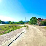 Bán đất 74m2 Xã Diên An Khánh Hòa 780 triệu - Ảnh thu nhỏ 2