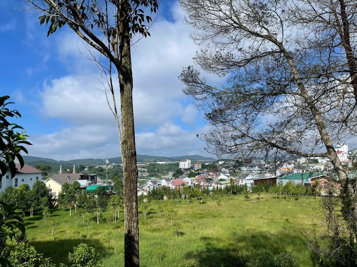 Bán lô góc 294m² trung tâm Đà Lạt 13 tỷ - Ảnh thu nhỏ 5