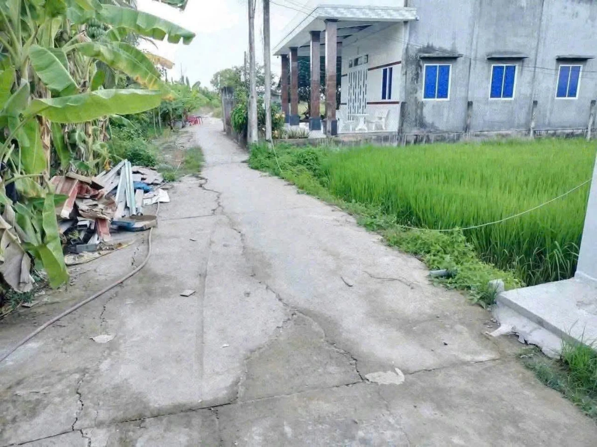 Bán đất 885m² mặt tiền hẻm Tân An Long An - Ảnh thu nhỏ 2