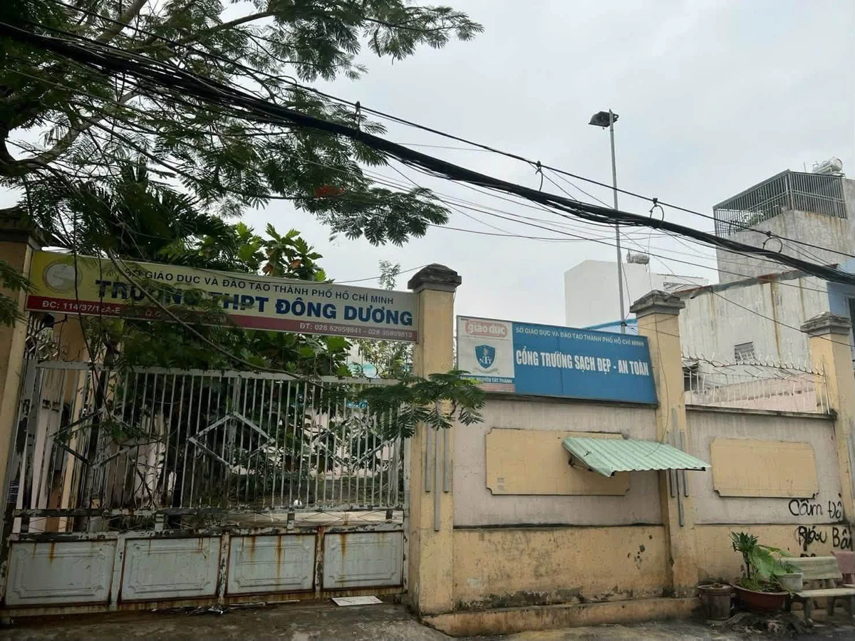 Bán CHDV 770m² Phường 9, giá 37 tỷ - Ảnh thu nhỏ 3