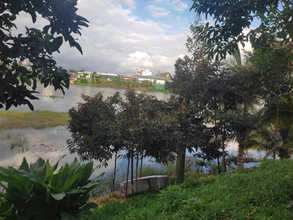 Bán lô đất 1772m² giáp Hồ Tân Rai, Bảo Lâm - Ảnh thu nhỏ 5