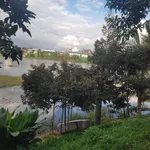 Bán lô đất 1772m² giáp Hồ Tân Rai, Bảo Lâm - Ảnh thu nhỏ 5