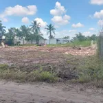 Bán đất 65m² Tây Ninh 395 triệu - Ảnh thu nhỏ 5