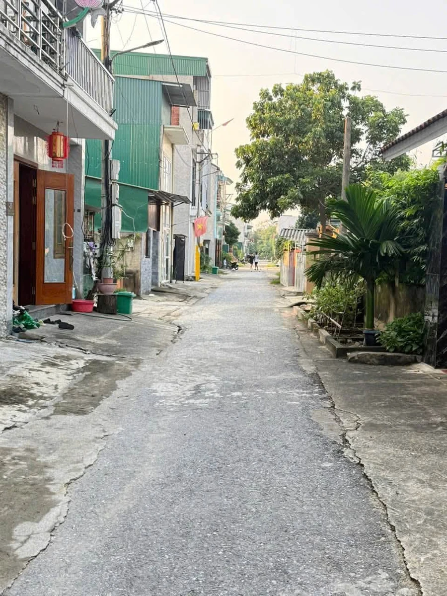Bán đất mặt tiền 5m, 67,5m² Trung Thành, Bình Chánh - Ảnh thu nhỏ 2