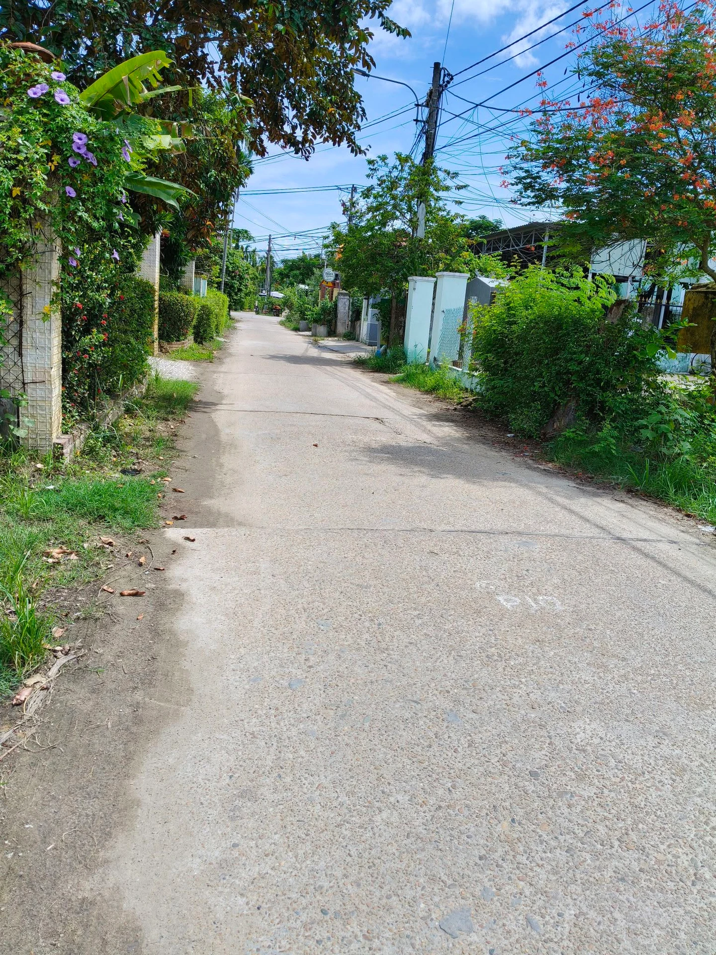 Bán đất 2 mặt tiền hơn 300m² Cẩm Thanh Hội An - Ảnh 1