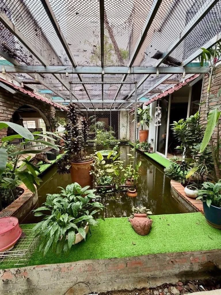 Bán nhà nở hậu Phú Nhuận 109m2, 17.9 tỷ - Ảnh thu nhỏ 4
