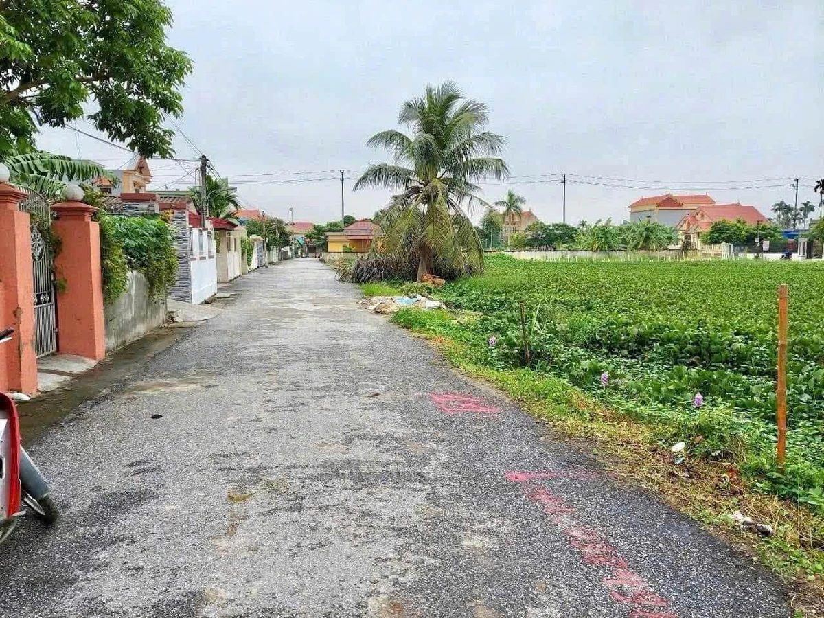 Bán lô đất 105,2m² mặt tiền 5m Kiến Thụy Hải Phòng - Ảnh thu nhỏ 3