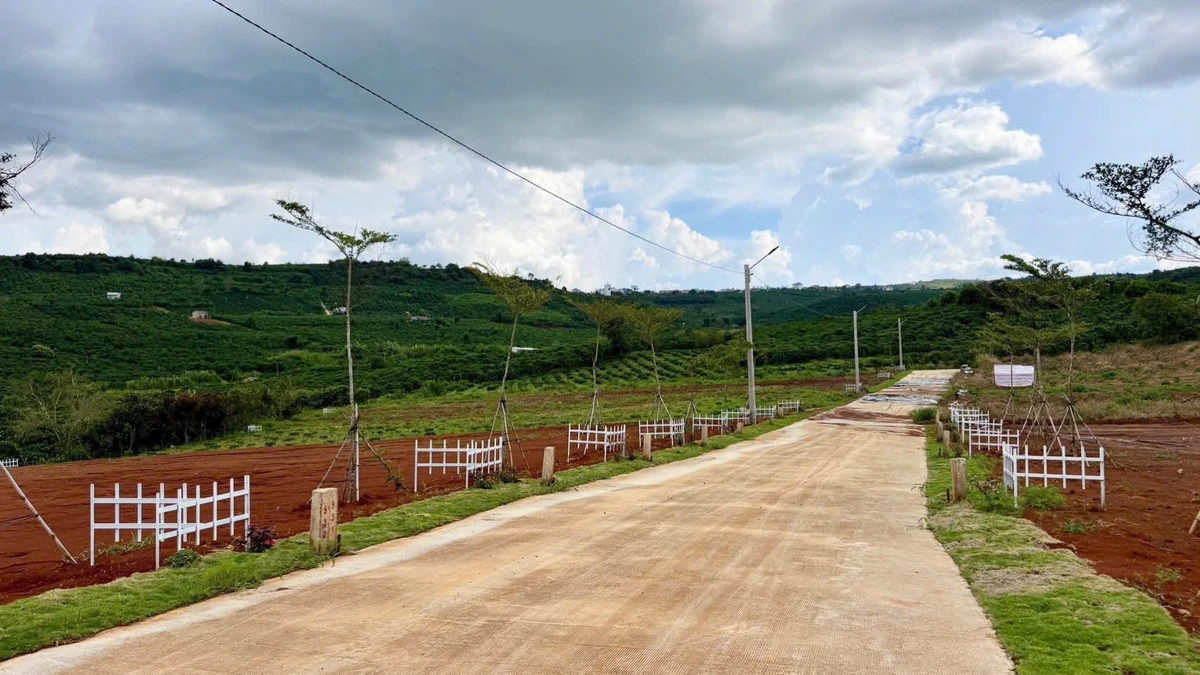 Bán đất thổ cư 6x24 giá 299 triệu tại Đinh Văn, Lâm Hà, Lâm Đồng - Ảnh thu nhỏ 4